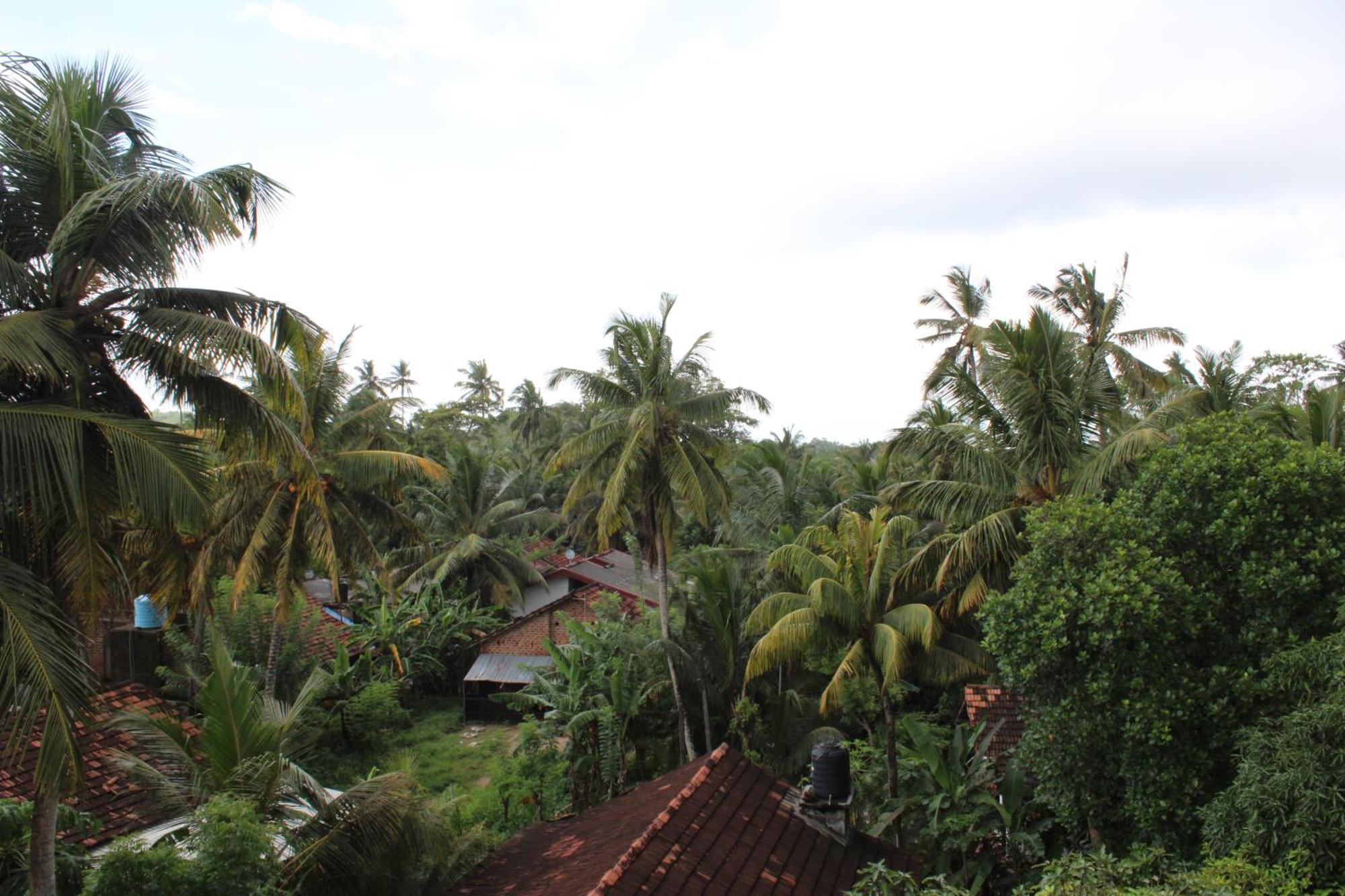 Sun & Moon Hostel มิริสซา ภายนอก รูปภาพ